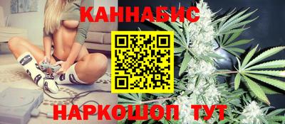 ALPHA PVP Гудермес