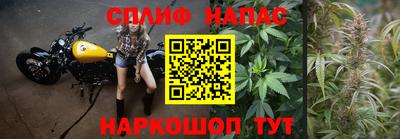 ALPHA PVP Гудермес