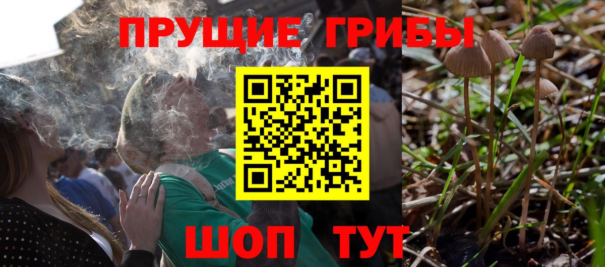 Галлюциногенные грибы Magic Shrooms Нурлат